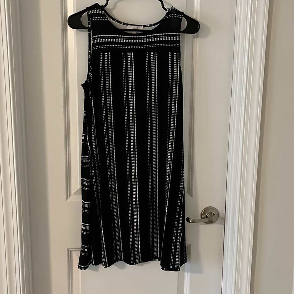 NWT Loft Swing Dress